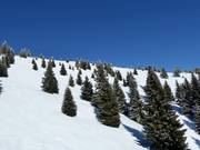 Freier Skiraum im Skigebiet Kopaonik