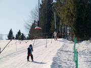 Lift 10 - Tellerlift