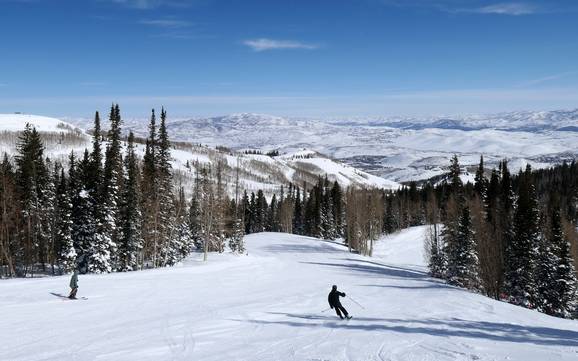 Skifahren bei Salt Lake City