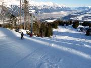 Almbodenlift - Tellerlift