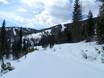 Columbia Mountains: Testberichte von Skigebieten – Testbericht Kimberley