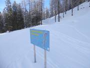 Höhenloipe Schlickeralm: Idyllisch im Bergwald