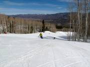 Abfahrt Lover´s Lane