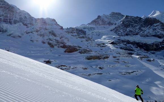 Bestes Skigebiet in der Jungfrau Region – Testbericht Kleine Scheidegg/Männlichen – Grindelwald/Wengen