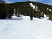 Perfekt glatt präpariert