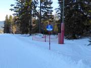 Pistenmarkierung am Arber