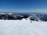 Piste Nr. 21 Krčmar