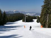 Skigebiet Pamporovo