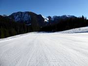 Leichter Dreitannenhang