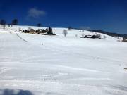 Kinderlift I - Seillift/Babylift mit niederer Seilführung