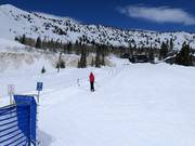 Alta Lodge Tow - Seillift/Babylift mit niederer Seilführung