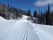 Loipen im SilverStar Mountain Resort