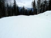 Leichte Piste The Last Spike