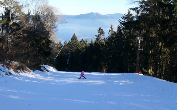 Familienskigebiete Hohenbogenwinkel – Familien und Kinder Hohenbogen – Neukirchen bei Hl. Blut
