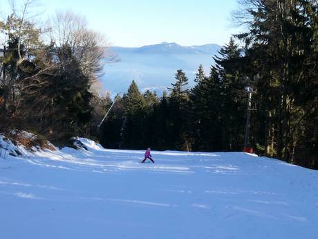 Familienskigebiete Oberpfalz – Familien und Kinder Hohenbogen – Neukirchen bei Hl. Blut