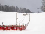 Übungslift Sinswang 1 - Seillift/Babylift mit niederer Seilführung