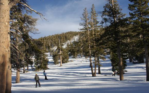 Skigebiete für Anfänger in Nevada – Anfänger Heavenly