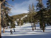 Leichte Waldabfahrten