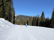 Leichte Piste Pozza Vecia