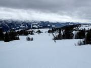 Leichte Piste Hangurs