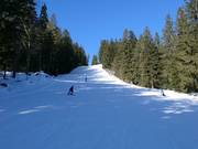 Mittelschwere Piste an der Sesselbahn