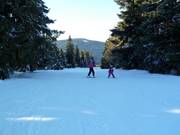 Abfahrt am Schlepplift Predigtstuhl II