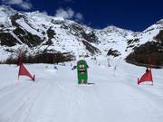 Adrenalin Cup Slalom Stafelwald