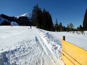 Übungslift Hochbrixen - Seillift/Babylift mit niederer Seilführung