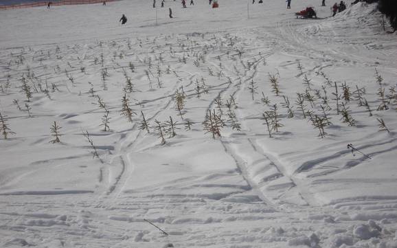 Südwesttschechien (Jihozápad): Umweltfreundlichkeit der Skigebiete – Umweltfreundlichkeit Lipno