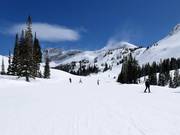 Leichte Piste an der Sesselbahn Sunnyside
