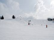 Leichte Piste in Crest Voland