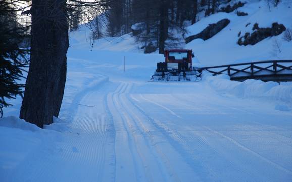 Langlauf Vercelli – Langlauf Alagna Valsesia/Gressoney-La-Trinité/Champoluc/Frachey (Monterosa Ski)