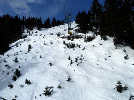 Skigebiete für Könner und Freeriding Lower Mainland – Könner, Freerider Cypress Mountain