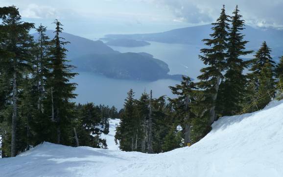 Bestes Skigebiet im Metro Vancouver – Testbericht Cypress Mountain