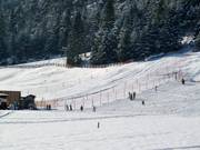 ÜL Tal - Seillift/Babylift mit niederer Seilführung