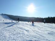 Ski- und Rodelvergnügen am Mehliskopf