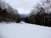 Leichte Piste Second Central Road