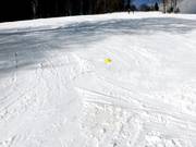 Flacher und breiter Skischulhang am Bucklift