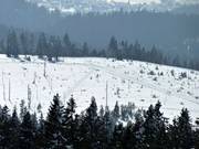 Loipen vom Langlaufzentrum Bretterschachten