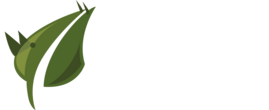 Dzikowiec – Boguszów-Gorce
