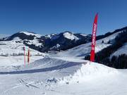 Hexenwellen & Red Viper Ski-/Boardercross (Söll)