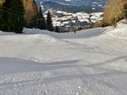 Rote Piste am Feldherrnhügellift