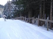 Absperrung zur Schonung des Waldes