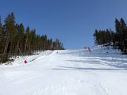 Schwere Piste Frida Race Arena Nr. 11