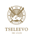 Tseleevo