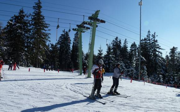 Bestes Skigebiet im Regierungsbezirk Karlsruhe – Testbericht Hundseck – Bühlertallifte