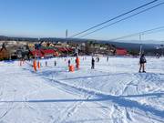 Bartuś II (B2) - Tellerlift