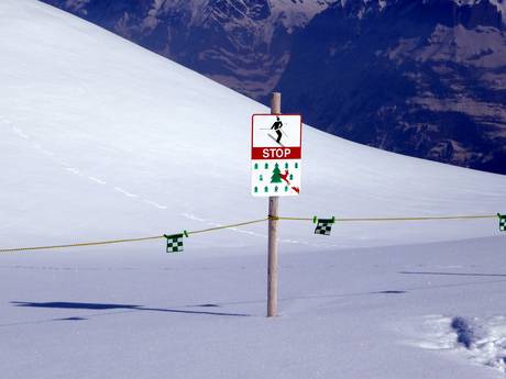Jungfrau Region: Umweltfreundlichkeit der Skigebiete – Umweltfreundlichkeit Kleine Scheidegg/Männlichen – Grindelwald/Wengen