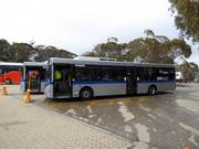 Shuttlebus am Mount Buller Alpine Village