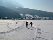 Loipe im Kaiserwinkl